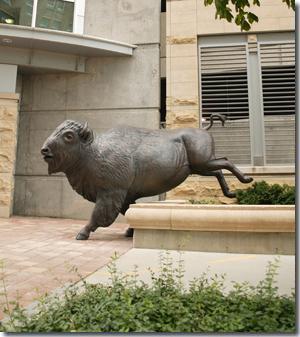 Spirit of Nebraska's Wilderness