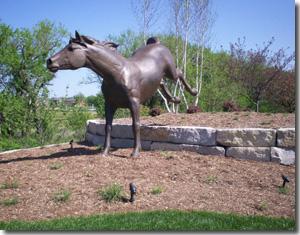 Mills Farm