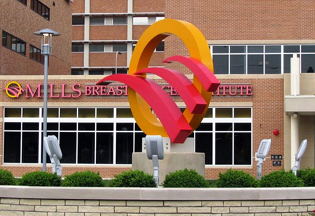 Carle Foundation Hospital